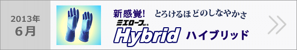 Hybrid ハイブリッド