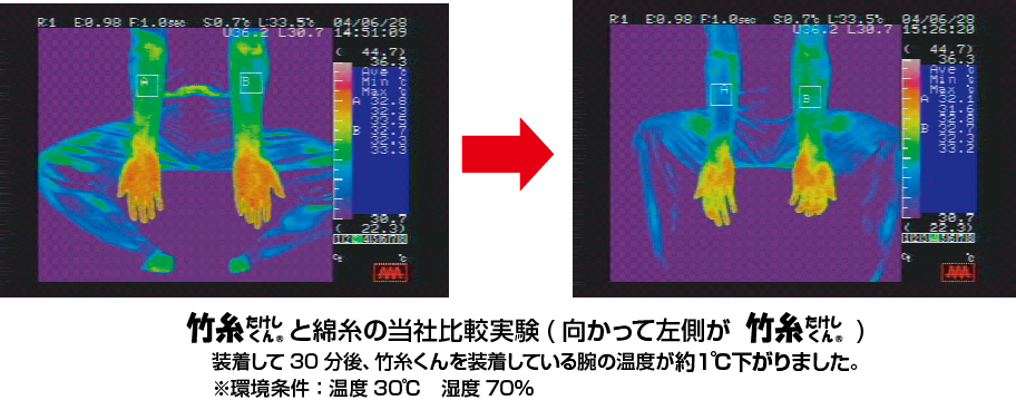 竹糸くんと綿糸の比較実験